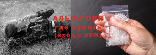 твердый Ладушкин