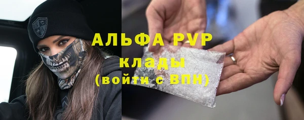 твердый Ладушкин
