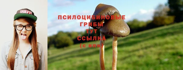 твердый Ладушкин