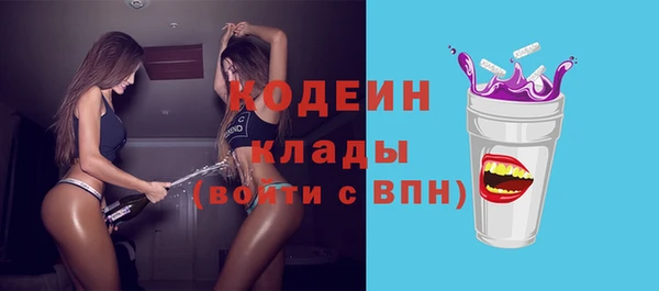 твердый Ладушкин