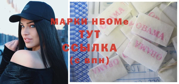 молекула духа Лабытнанги