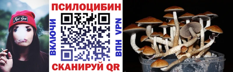 МЕГА как войти где продают наркотики Няндома Галлюциногенные грибы мицелий